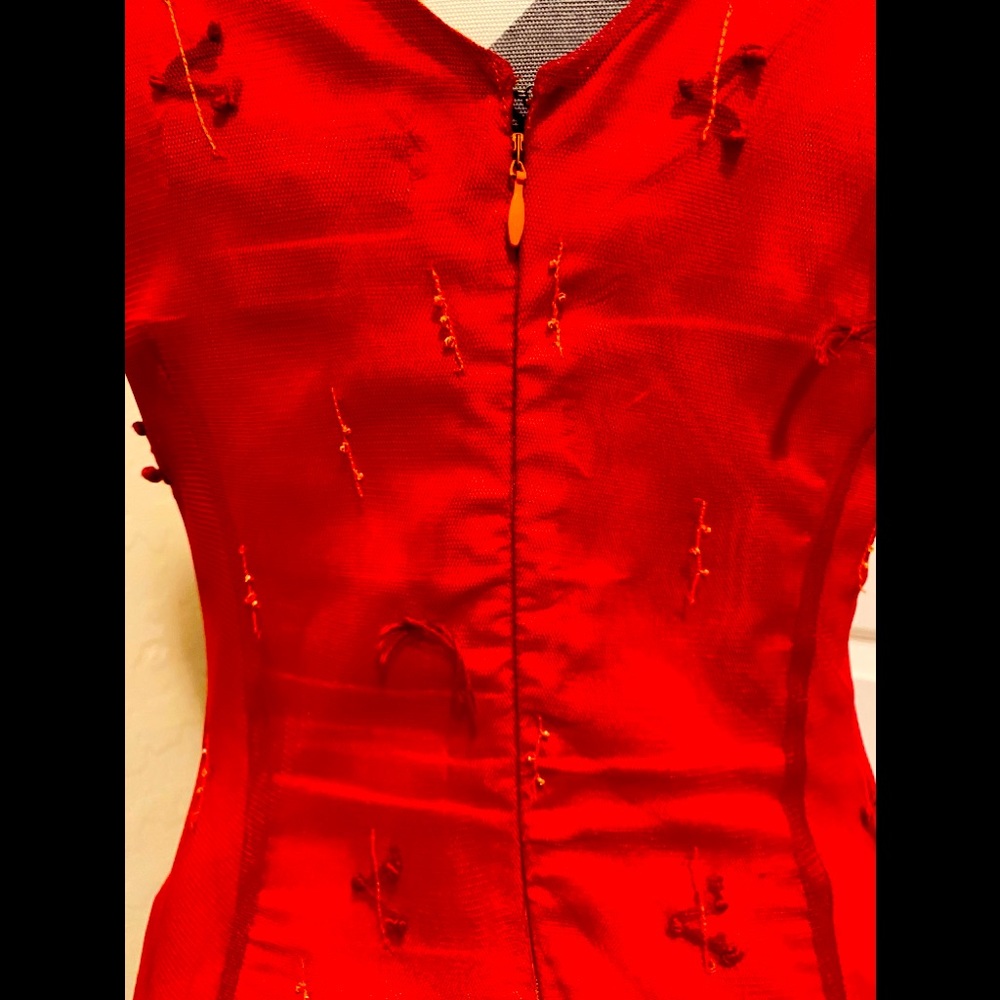 Express Dress - Picture 4 of 10